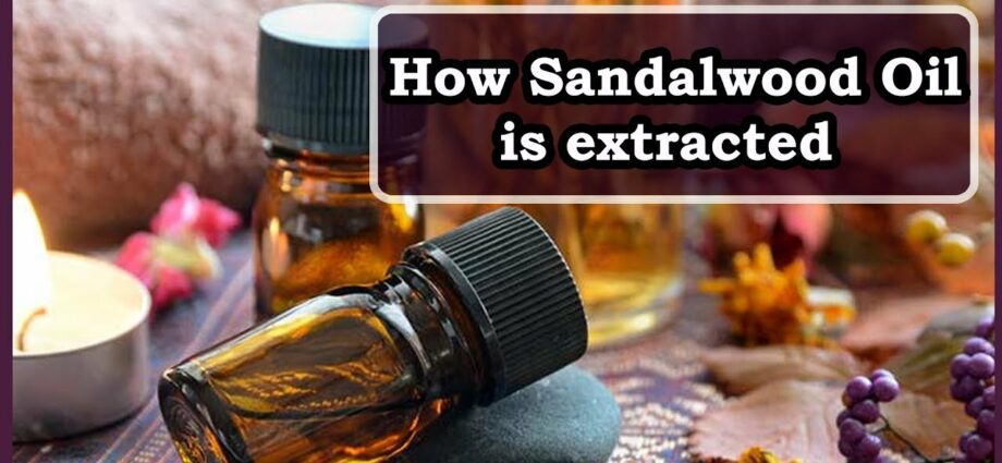 Scented sandalwood oil: application. Video