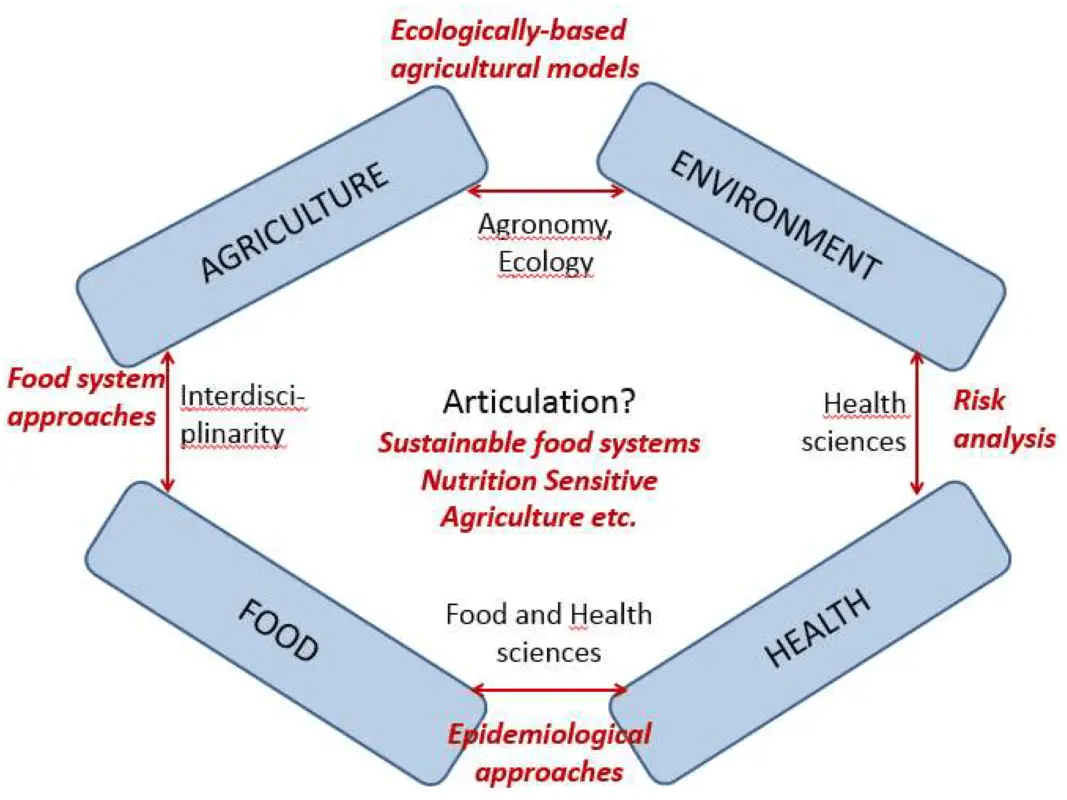 Science and Gastronomy together to promote sustainability