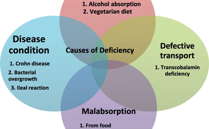 Scientists have found: B12 deficiency leads to a deterioration in the mental abilities of children