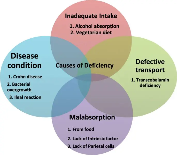 Scientists have found: B12 deficiency leads to a deterioration in the mental abilities of children