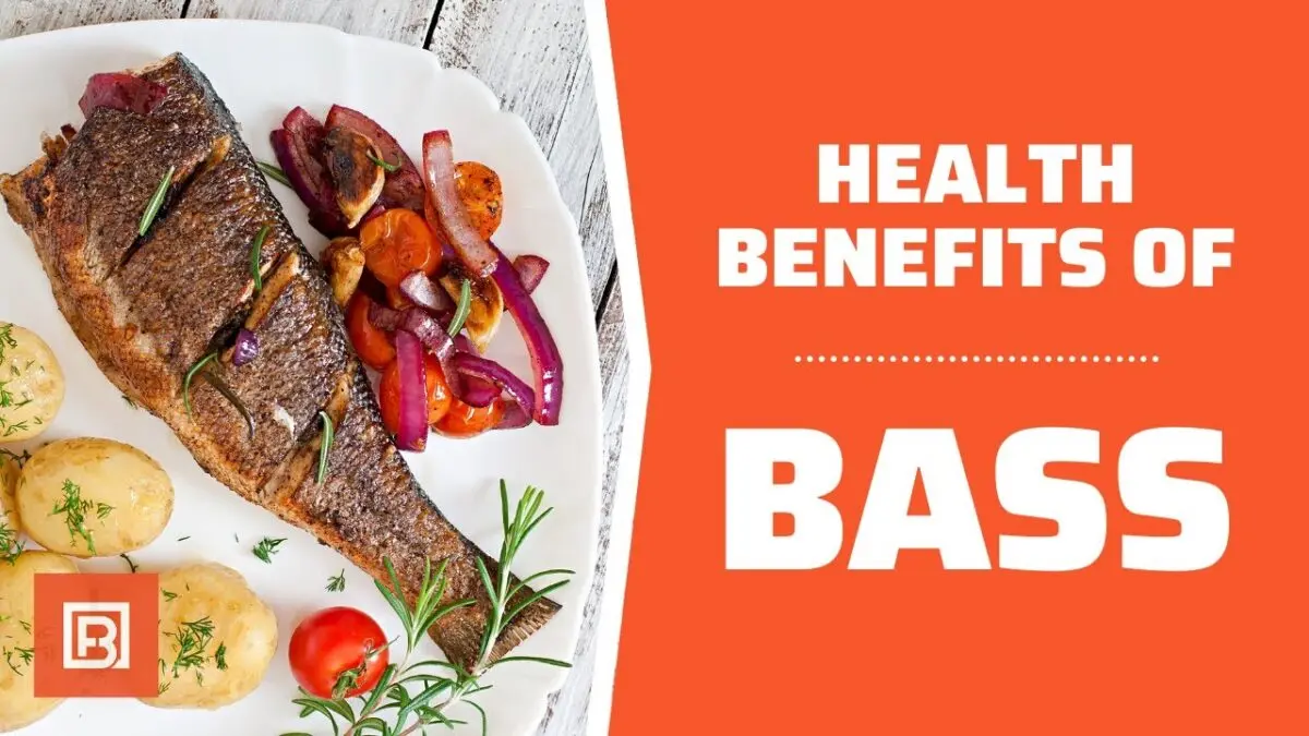 Sea bass-rasp: calorie content and useful properties. Video recipe