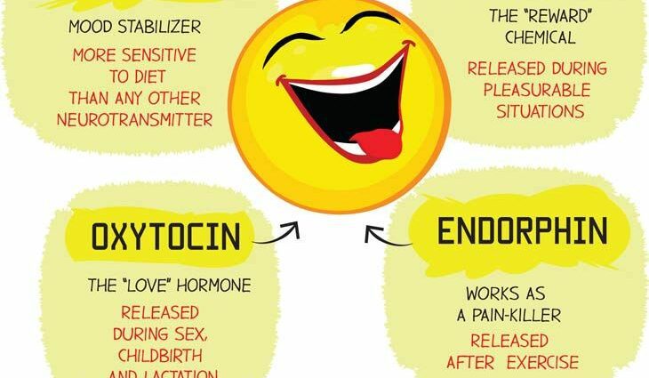 Serotonin: is it really the hormone of happiness?