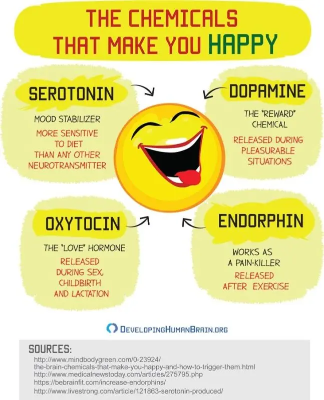 Serotonin: is it really the hormone of happiness?