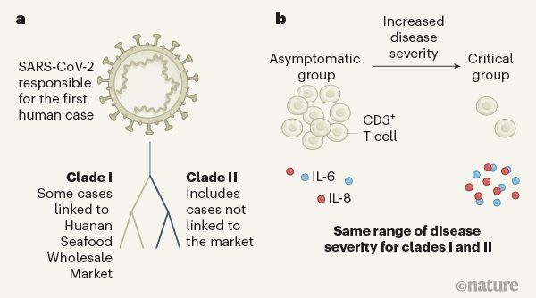 Severe form of Covid-19: two causes highlighted by scientific studies