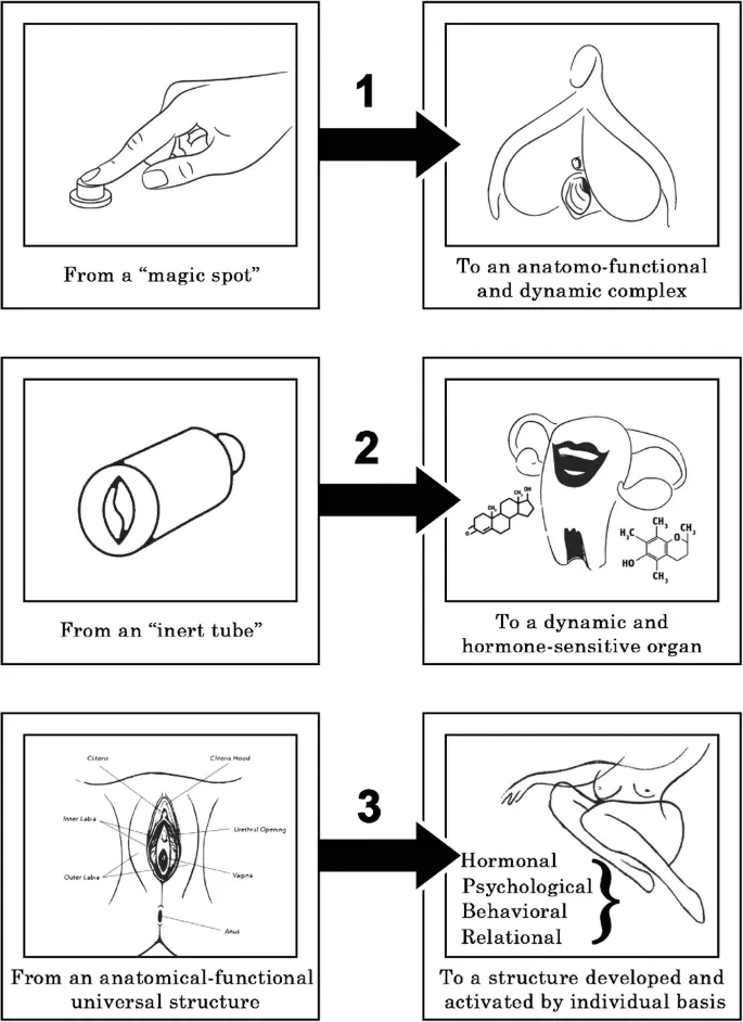 Sexuality: is the G spot a myth?