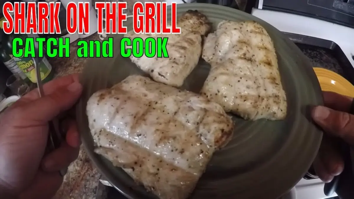 Shark meat: recipe for cooking. Video