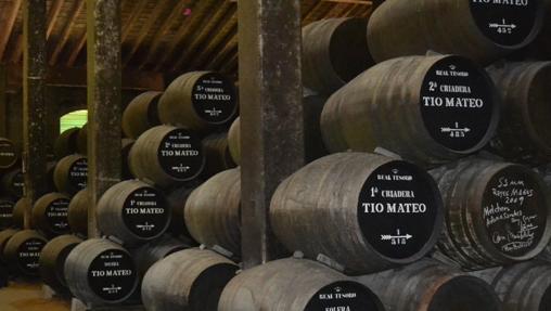 Sherry wines, guide to enjoy them to the fullest