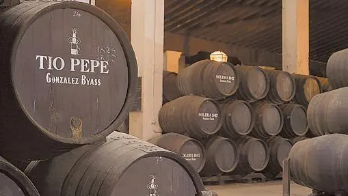 Sherry wines, guide to enjoy them to the fullest
