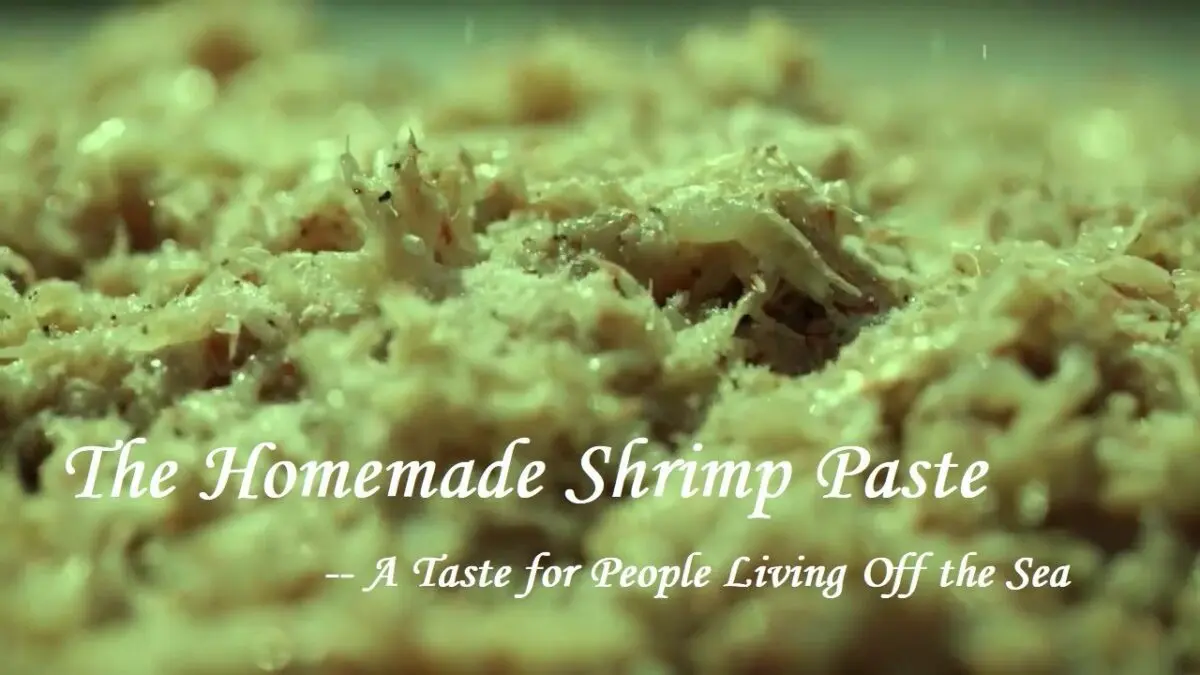 Shrimp paste: the taste of the sea. Video