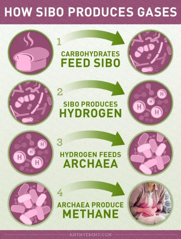 SIBO: symptoms and treatments of this infection?