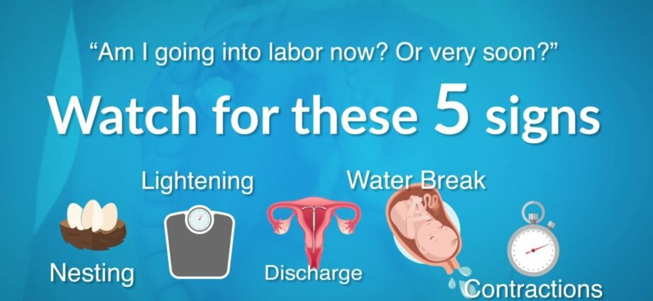 Signs of the onset of labor. Video