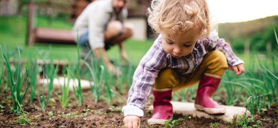 Six educational activities that will introduce your child to nature.