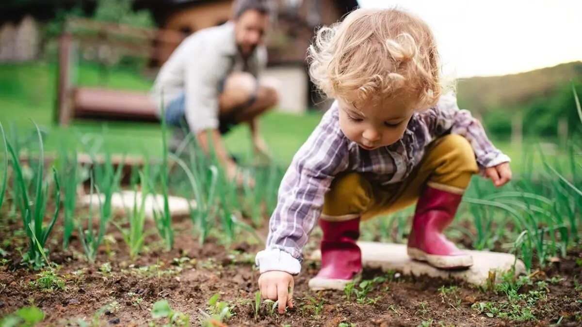 Six educational activities that will introduce your child to nature.