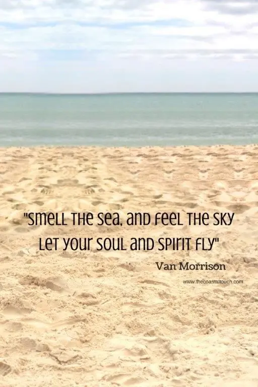 Smelling, looking and feeling the ocean close by reduces anxiety and helps make decisions