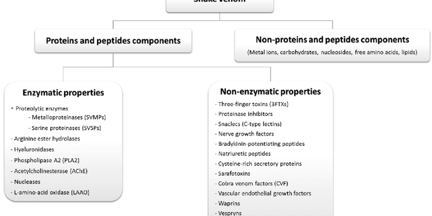 Snake venom and other unusual ingredients in cosmetics