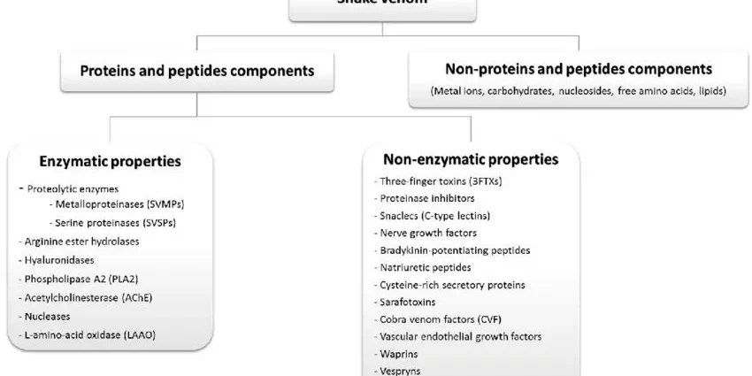 Snake venom and other unusual ingredients in cosmetics