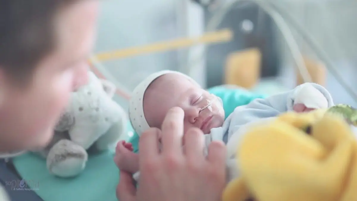 So touching: graduations for babies are arranged in the maternity hospital &#8211; photo