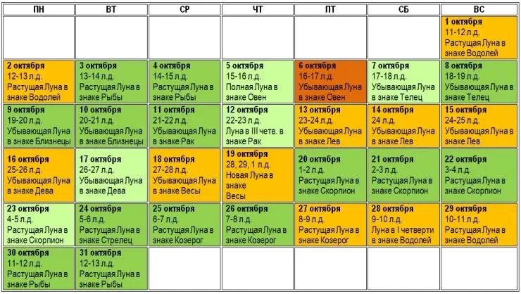 Sowing calendar of the summer resident for the third week of August 2016