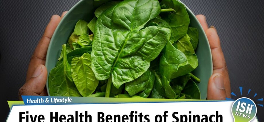 Spinach: benefits and harms of spinach. Video