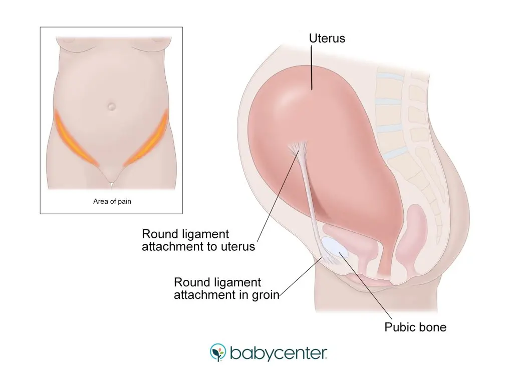 Stitching pains in the lower abdomen during pregnancy: cutting, sharp, right, causes