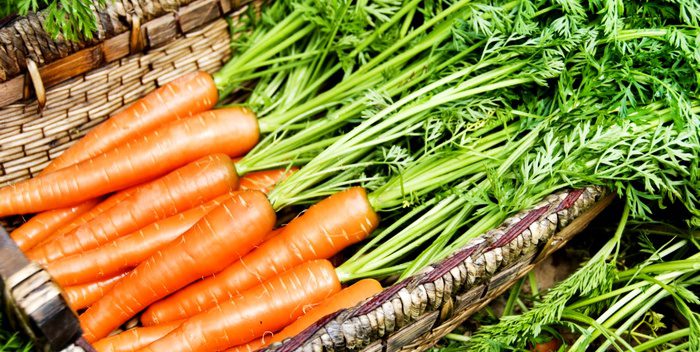 Storage of vegetables