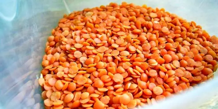 Storing legumes