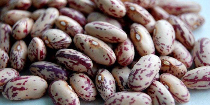 Storing legumes