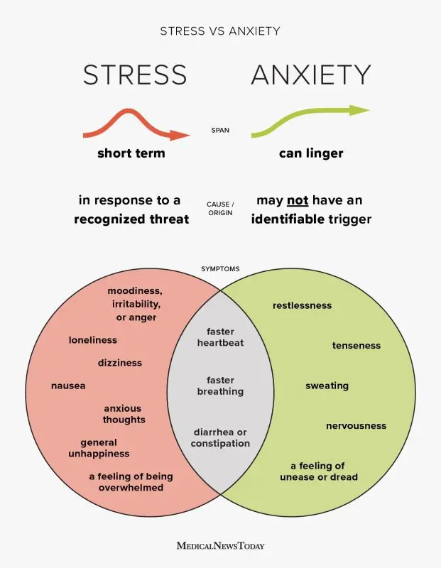 Stress… or anxiety?