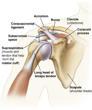 Subacromial conflict