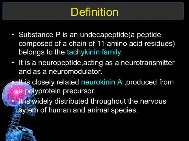 Substance p: definition and role of this neuropeptide