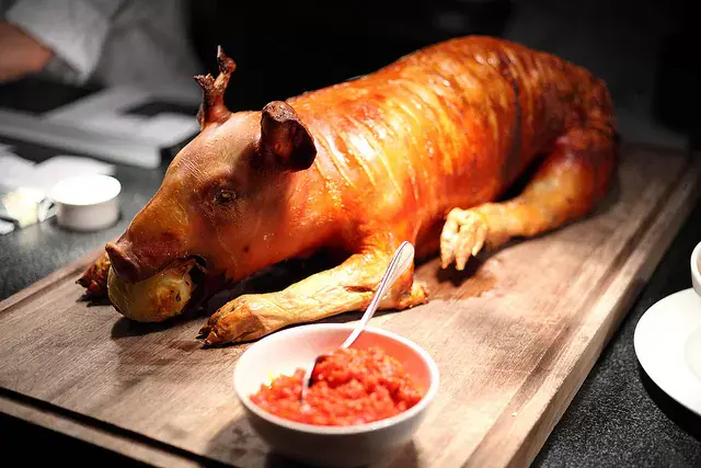 Suckling pig to give and take