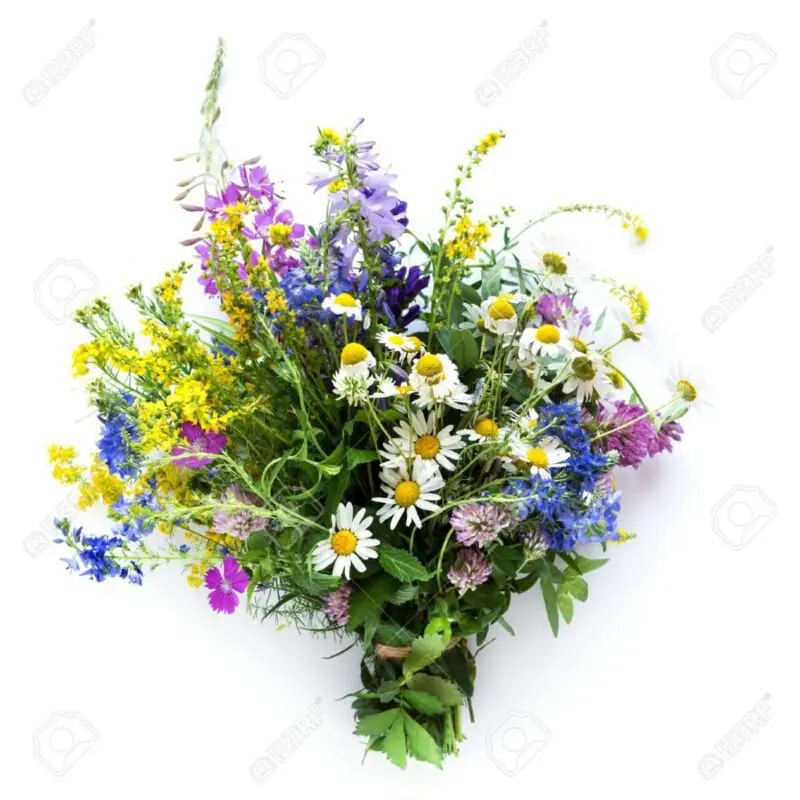 Summer bouquet of wildflowers