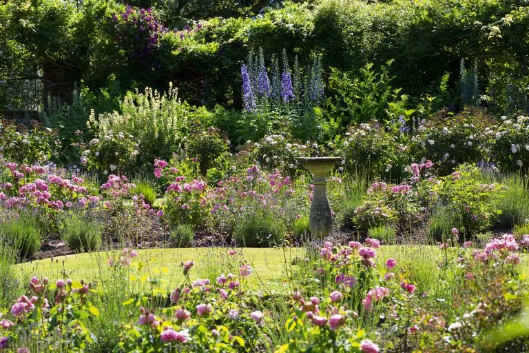 Summer cottage, garden, vegetable garden: getting ready for winter