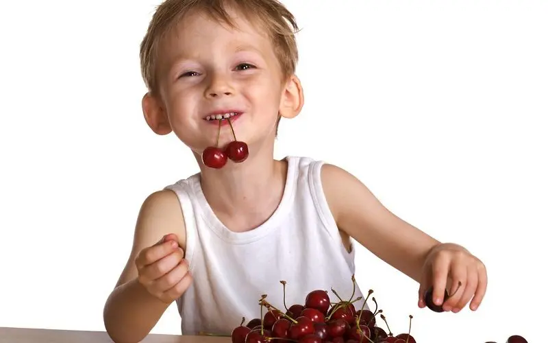 Sweet cherry: health benefits and harms, medicinal properties.