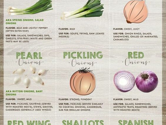 Sweet onions: varieties