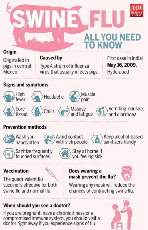 Swine flu 2016: prevention, treatment