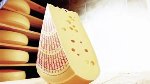 Swiss cheeses, luxury for the palate: which ones to choose and how to taste them and where to enjoy them