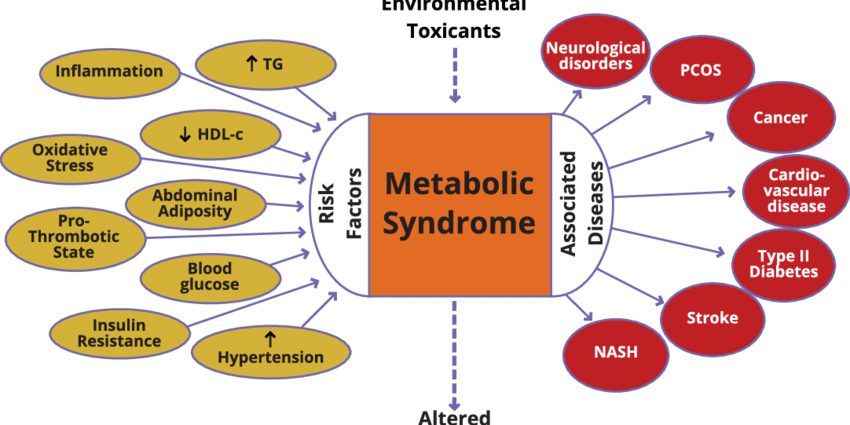Symptome und Risikogruppen des metabolischen Syndroms (Syndrom X)
