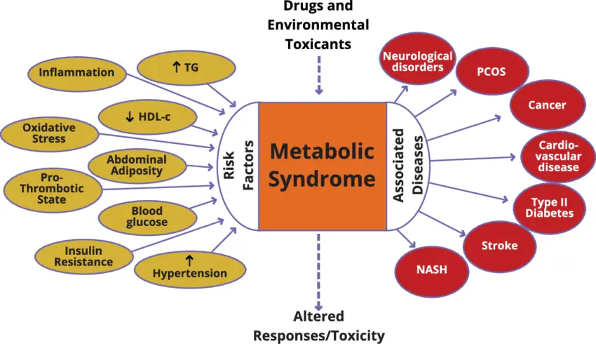 Symptoms and people at risk of metabolic syndrome (Syndrome X)