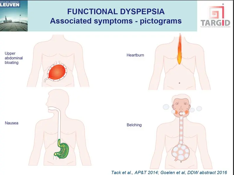 Symptoms of dyspepsia (Functional digestive disorders)