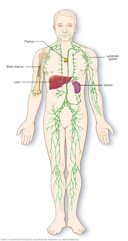 Symptoms of Hodgkin&#8217;s disease