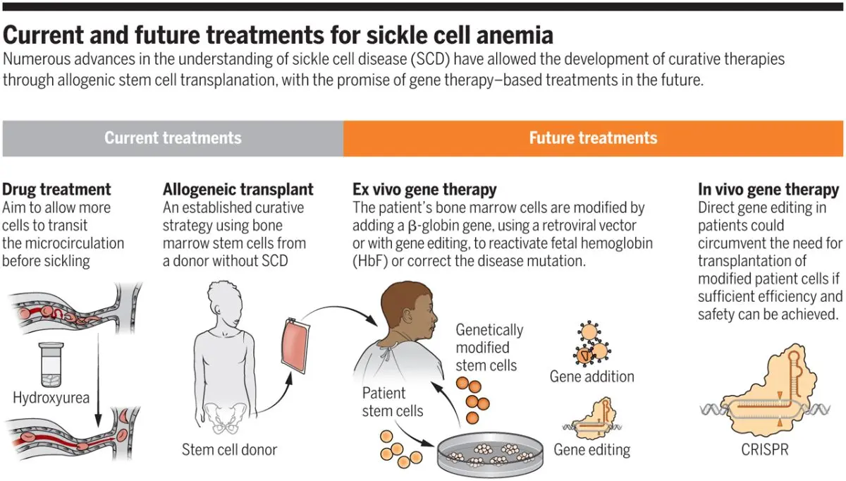 emergent-issues-in-sickle-cell-disease-foamcast