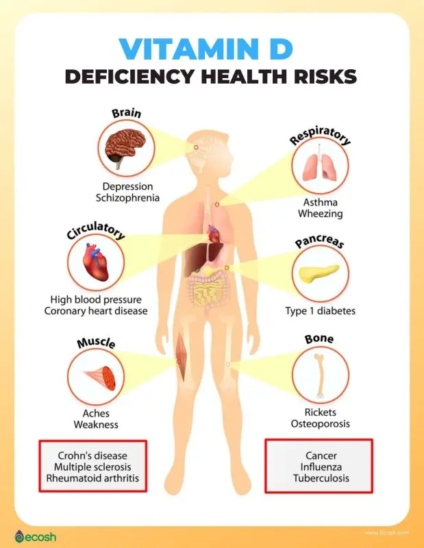 Symptoms, people and risk factors for vitamin B12 deficiency anemia