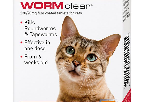 Tablet for worms: how to give a kitten