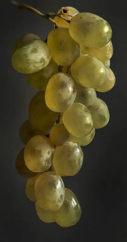 Taifi grapes