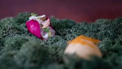 Tartar: why this summer you won’t want to eat anything else