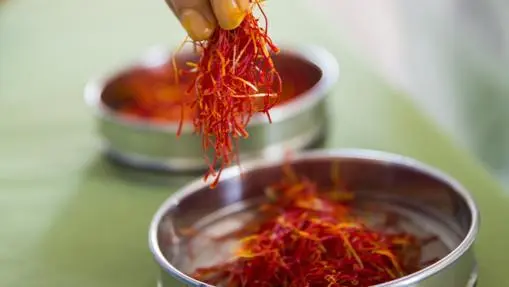 Ten secrets about saffron, the &#8220;red gold&#8221;