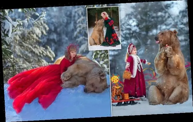 The bear abandoned by his mother became a famous model: 10 cutest photos