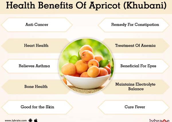 The benefits and harms of apricot for the human body