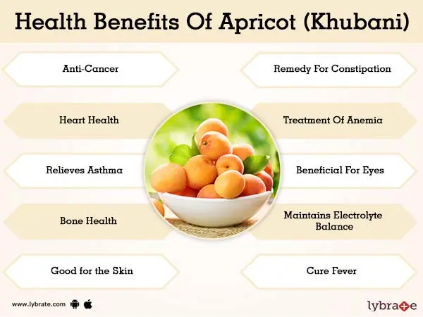 The benefits and harms of apricot for the human body